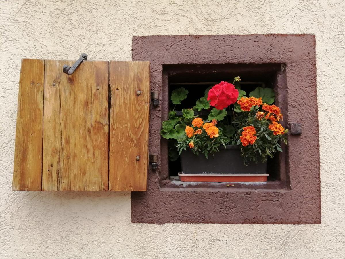 Gite Le Patio Kaysersberg-Vignoble Zewnętrze zdjęcie