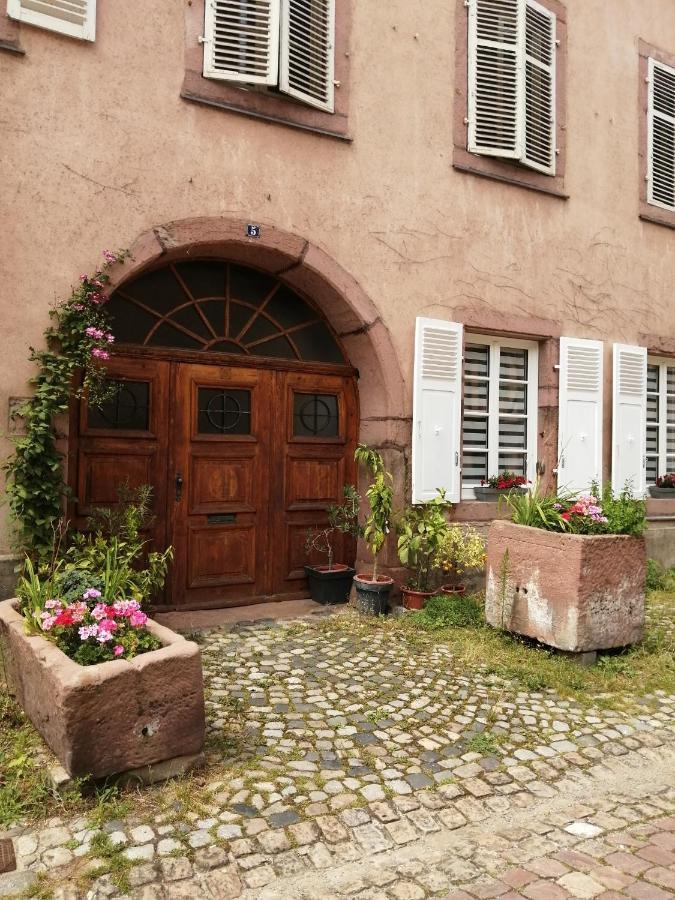 Gite Le Patio Kaysersberg-Vignoble Zewnętrze zdjęcie