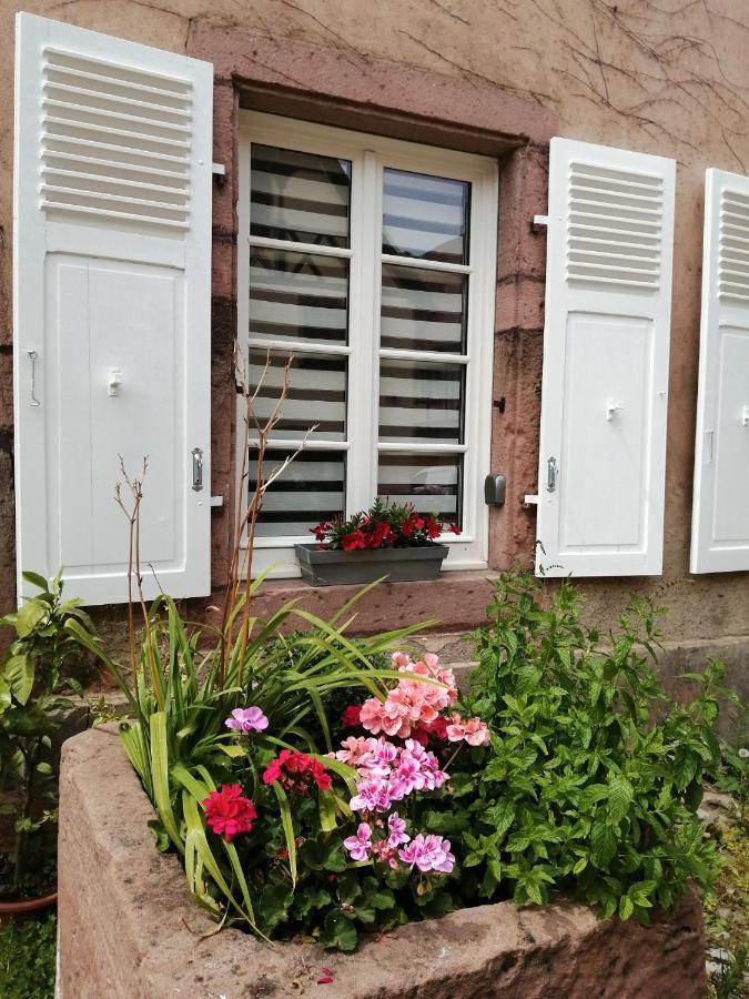 Gite Le Patio Kaysersberg-Vignoble Zewnętrze zdjęcie